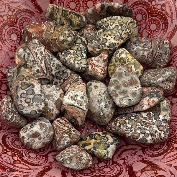 Leopard Skin Jasper Tumblestones - Success & Prosperity BD Crystals