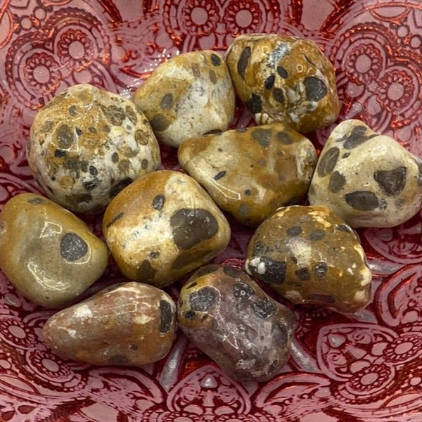 Leopard Skin Jasper Tumblestones - Success & Prosperity BD Crystals