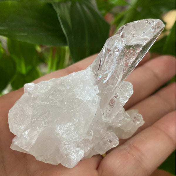 Quartz Clusters - Intuition & Wisdom BD Crystals