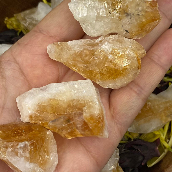 Rough Citrine - Abundance & Success BD Crystals