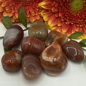 Sardonyx Tumblestones - Strength & Protection BD Crystals