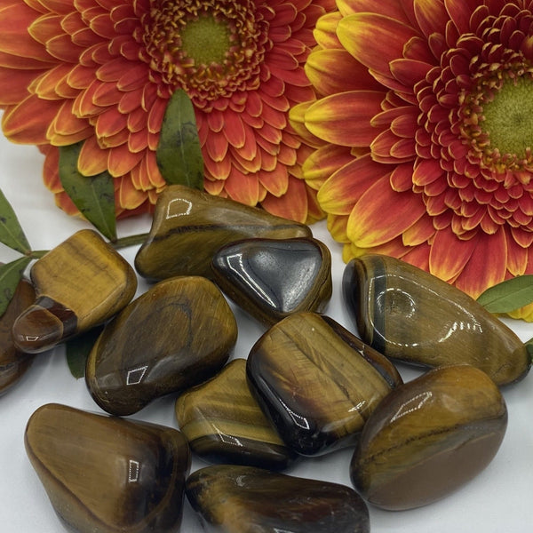 Tiger Eye Tumblestones - Courage & Protection BD Crystals