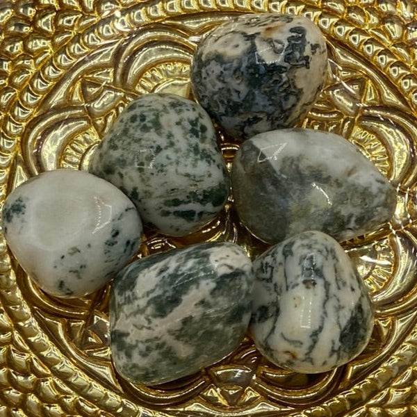 Tree (Dendritic) Agate Tumblestones BD Crystals