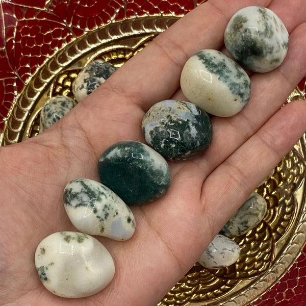 Tree (Dendritic) Agate Tumblestones BD Crystals