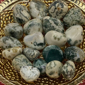 Tree (Dendritic) Agate Tumblestones BD Crystals