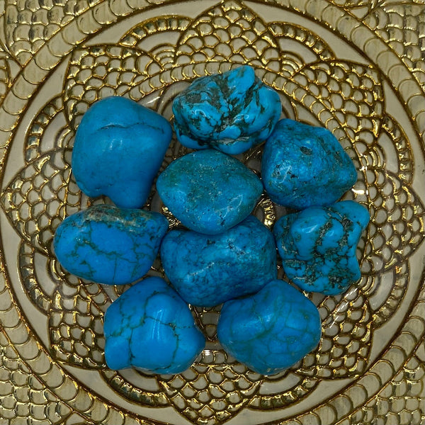 Turquenite (Blue Howlite) Tumblestones BD Crystals