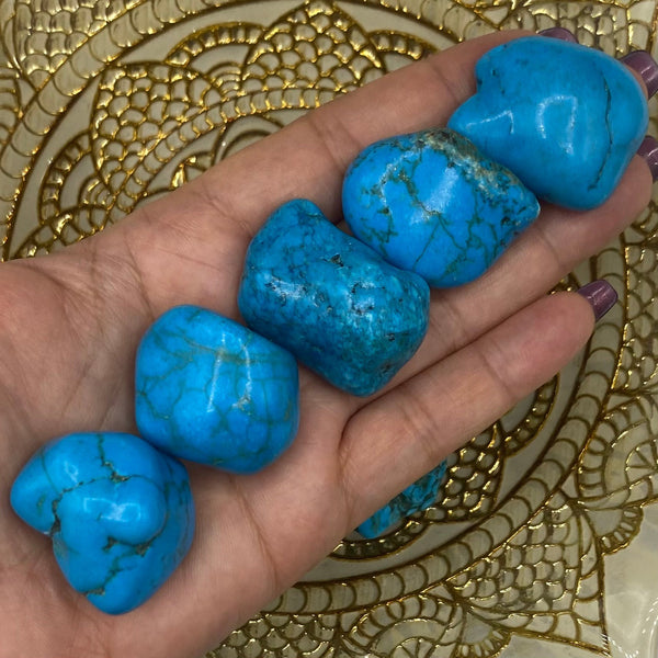 Turquenite (Blue Howlite) Tumblestones BD Crystals