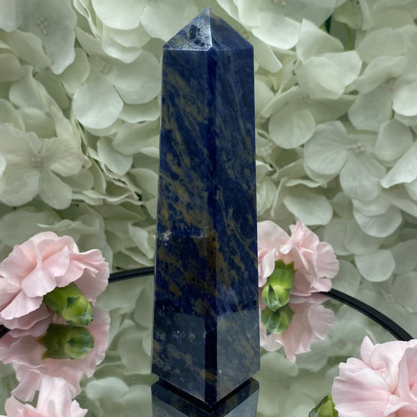 Sodalite Obelisk - Wisdom & Guidance